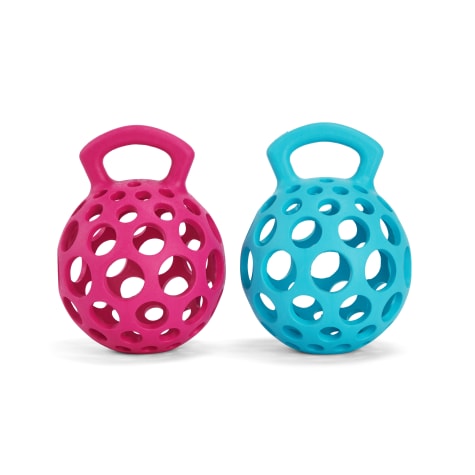 Leaps & Bounds Cage Ball with Handle Dog Toy