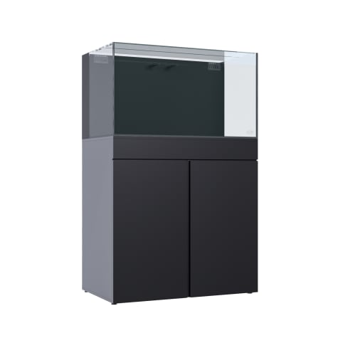 JBJ Black 65 Gallon Rimless Flat Panel Aquarium Kit