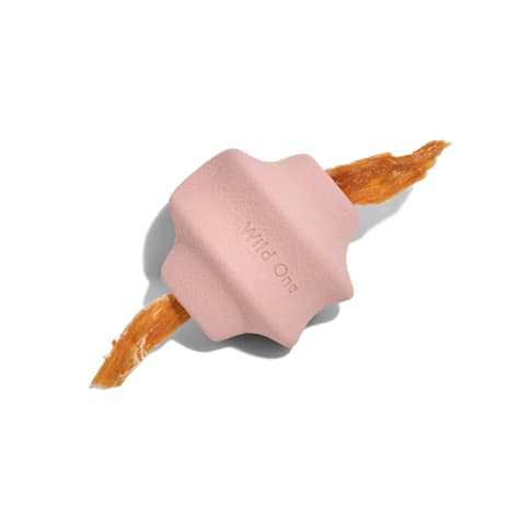Wild One Blush Twist Toss Dog Toy