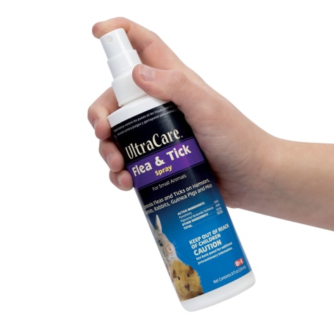 guinea pig flea spray