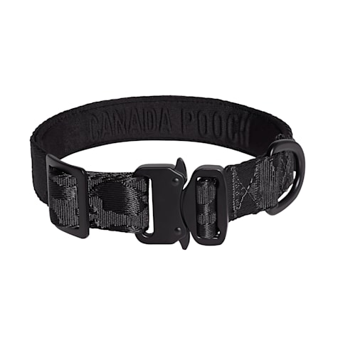 Canada Pooch Black Utility Dog Collar