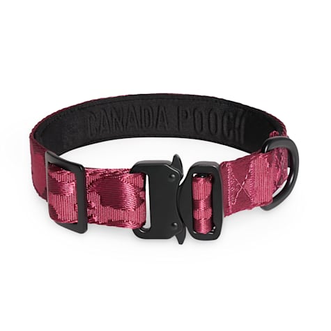 Canada Pooch Plum Utility Dog Collar