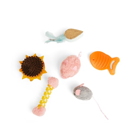 Leaps & Bounds Black Little Paws Great Outdoors Kitten Toy Set