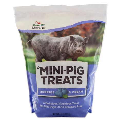 Manna Pro Mini-Pig Treats Berries & Cream Flavor