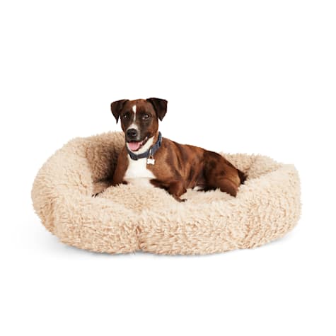 EveryYay Essentials Cozy Boucle Dog Bed