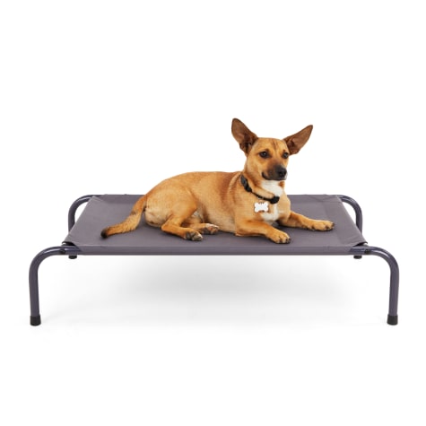 EveryYay Elevated Dog Cot