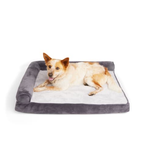 EveryYay Essentials Orthopedic Chaise Dog Bed