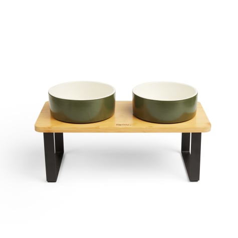 Reddy Green Elevated Double Diner Dog Bowl
