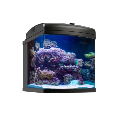 JBJ Nano-Cube WIFI with 40W LED