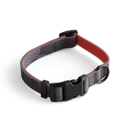 Backcountry x Petco Orange Water Resistant Dog Collar