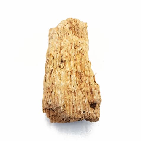 Lifegard Aquatics 25 Gallon Burma Petrified Aquarium Decoration Aquascape Stone