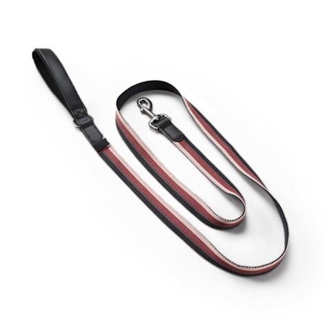 Reddy Stripe Dog Leash