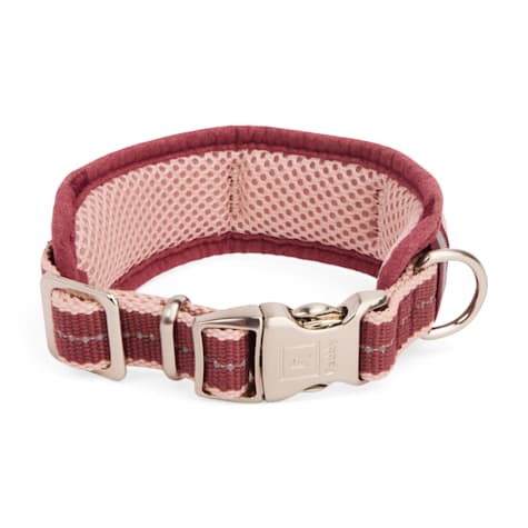 Reddy Stripe Dog Collar