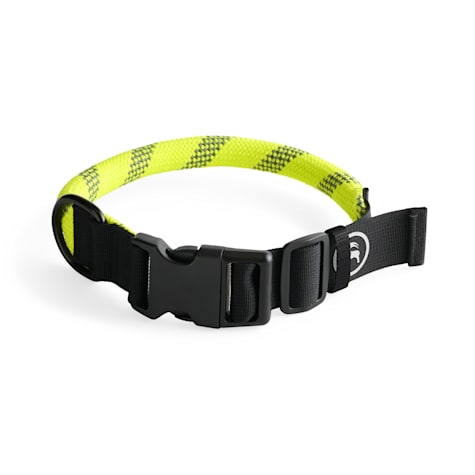 Backcountry x Petco Tan and Yellow Rope Dog Collar