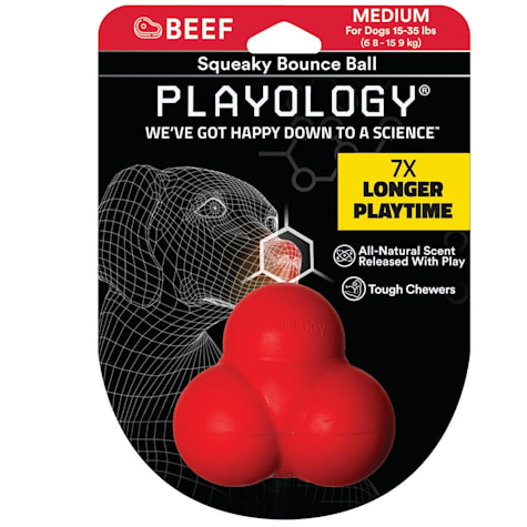 Playology Squeaky Bounce Ball Beef Dog Toy