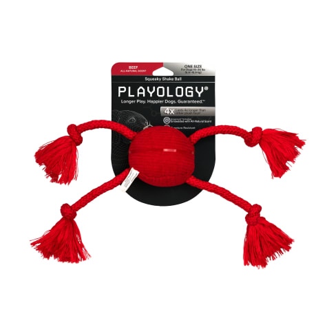 Playology Plush Squeaky Shake Ball Dog Toy