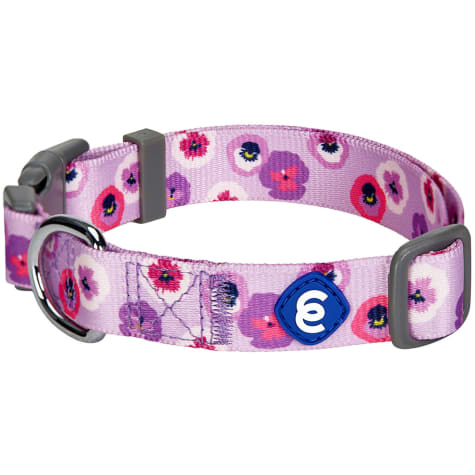 Blueberry Pet Essentials Dog Collar