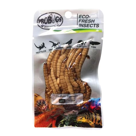 Pro Bugs Repashy Eco-Fresh Superworms