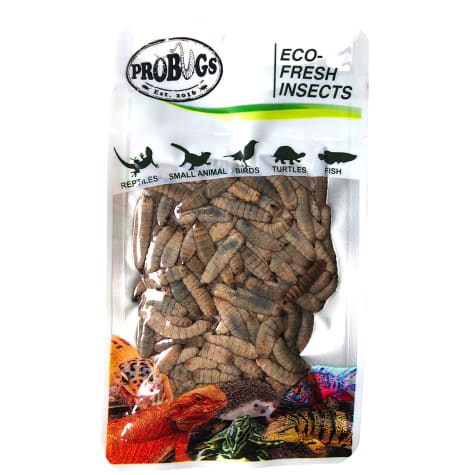 Pro Bugs Repashy Eco-Fresh Black Soldier Fly Larvae