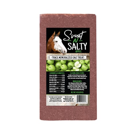Kalmbach Feeds Sweet 'N Salty Apple Flavored Treat Brick for Horses