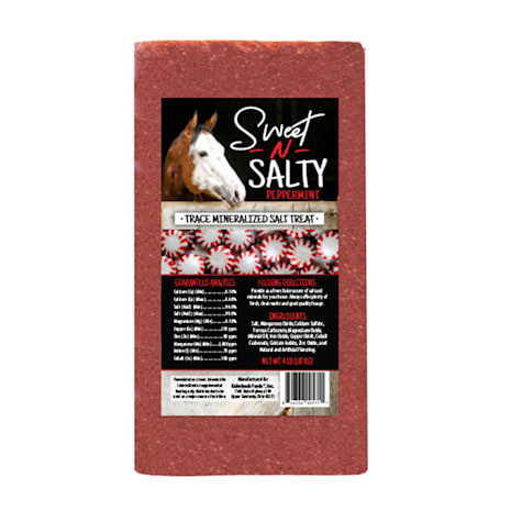Kalmbach Feeds Sweet 'N Salty Peppermint Flavored Treat Brick for Horses