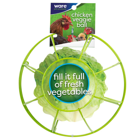 WARE Chick-N-Veggie Ball Toy