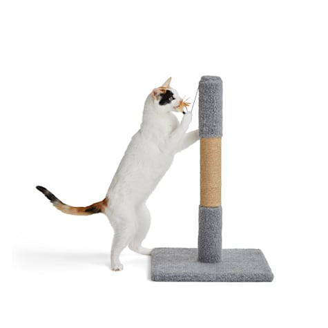 EveryYay Essentials Scratchin' The Surface Post with Scratcher Cat Toy