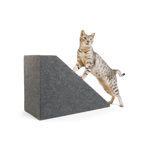 EveryYay Rise & Climb Ramp with Refillable Double Cat Scratcher