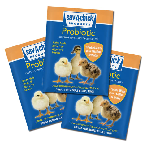 Milk Products Sav-A-Chick Probiotic Digestive Supplement for Poultry