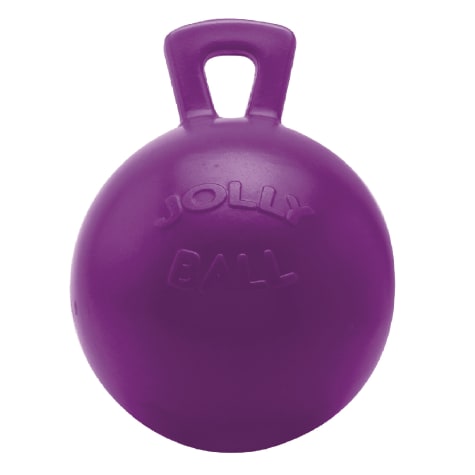 Horsemen's Pride Tug-N-Toss Purple Jolly Ball Horse Toy