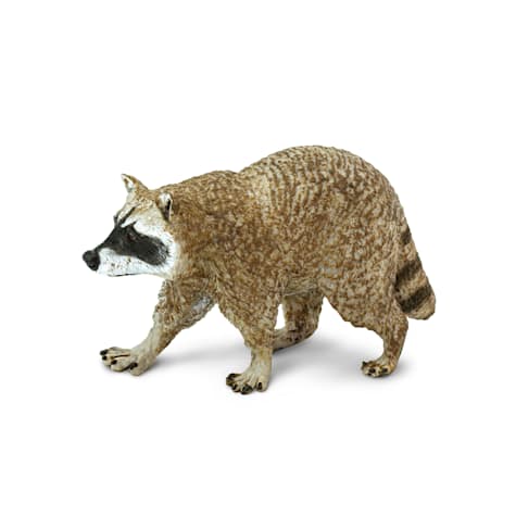 Safari Ltd Raccoon Toy Figure