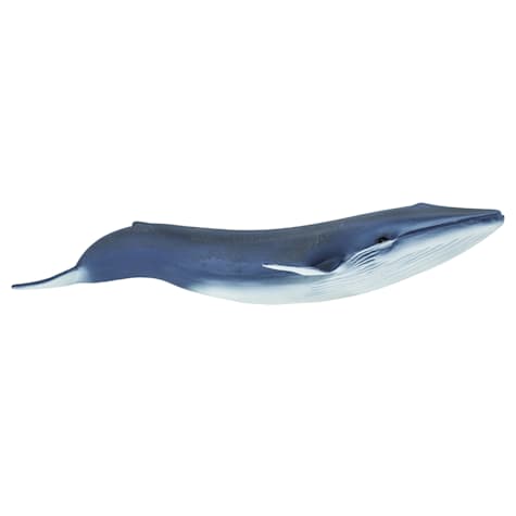 Safari Ltd Blue Whale Toy Figure