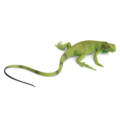 Safari Ltd Iguana Baby Toy Figure