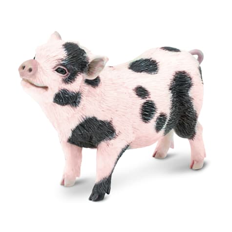 Safari Ltd Pot-Bellied Pig Toy Figure