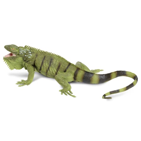 Safari Ltd Iguana Toy Figure