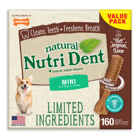 Nylabone Nutri Dent Filet Mignon Flavored Mini Dog Dental Chews