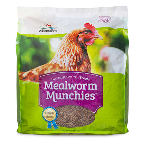 Manna Pro Mealworm Munchies Dried Mealworm High Protein Gourmet Poultry Treat