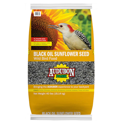 AUDUBON PARK Black Oil Sunflower Seed Wild Bird Food