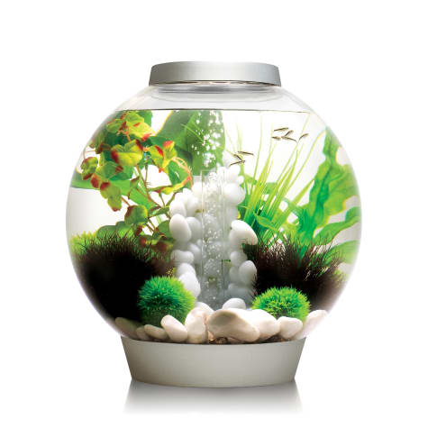 biOrb CLASSIC 30 Silver Aquarium with Standard Light