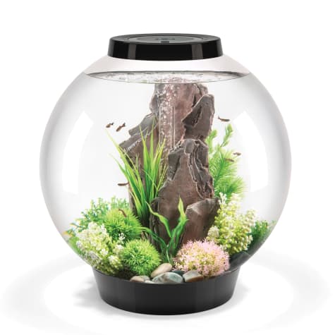 biOrb CLASSIC 60 Black Aquarium with Standard Light