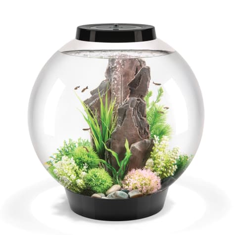 biOrb CLASSIC 60 Black Aquarium with MCR Light