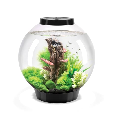 biOrb CLASSIC 30 Black Aquarium with MCR Light