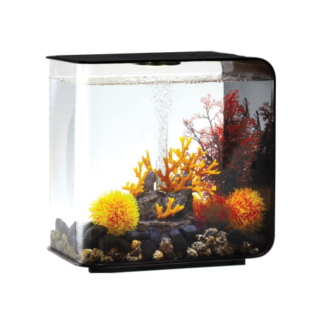 biOrb FLOW 30 Black Aquarium with Standard Light
