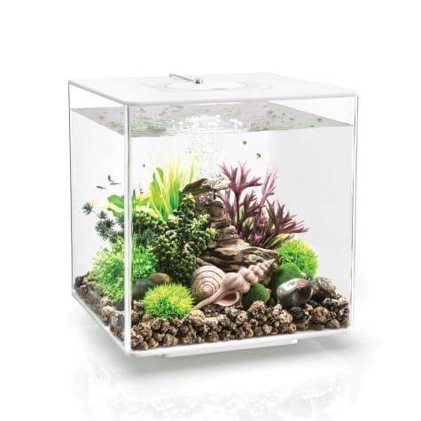 biOrb CUBE 30 White Aquarium with MCR Light