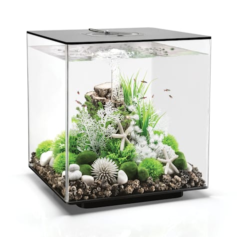 biOrb CUBE 60 Black Aquarium with MCR Light