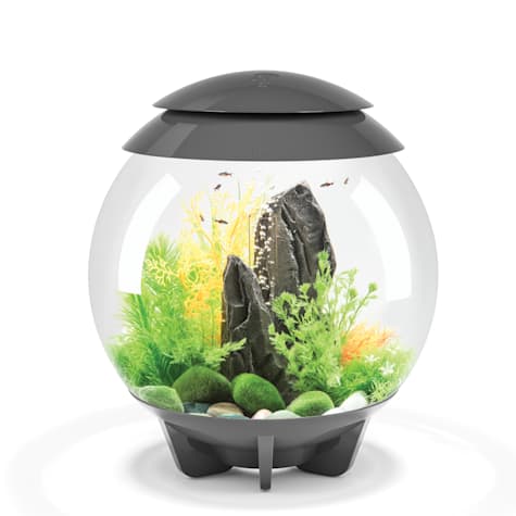 biOrb HALO 30 Grey Aquarium with MCR Light