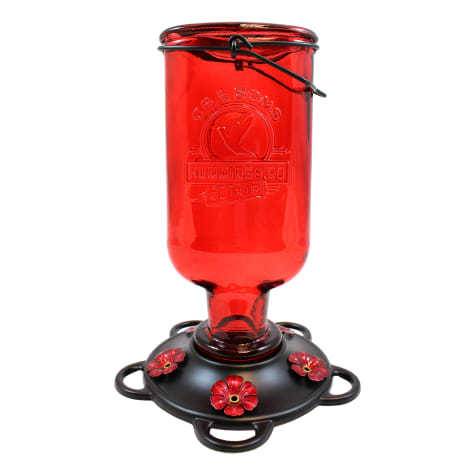 More Birds Elixir Hummingbird Feeder