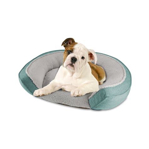 Canine Creations Teal Step In Dog Bed