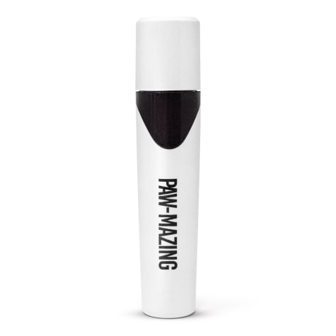 RB Pets Rapid Brands Paw Mazing for Dogs