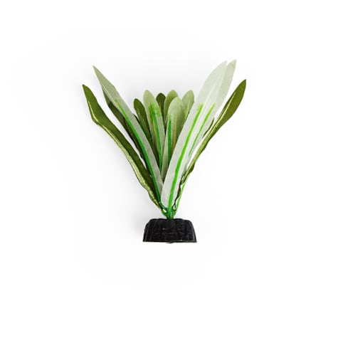 Imagitarium Anubias Betta Plant